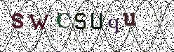 Visual Confirmation Security Code